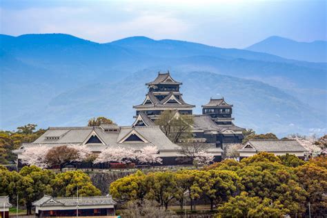  熊本城！歴史の重みと美しい桜を満喫する絶好の場所！